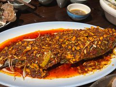 -老家黄墩小错鸡·活海鲜