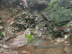 -上海佘山国家森林公园天马山园