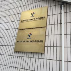 -上海交通大学医学院附属上海儿童医学中心(陆家嘴总院区)