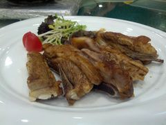 羊排-新兴·金羊座·粤菜点心(乐峰店)