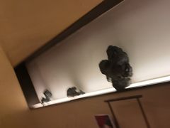 -觅唐MITONG(鸟巢店)