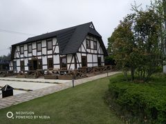 -金山农民画村-枫泾波兰倒置屋