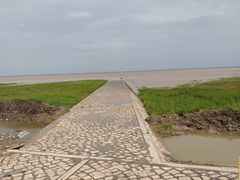 -南汇嘴观海公园