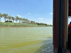 -南大港湿地风景区