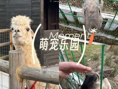 -天屿湖