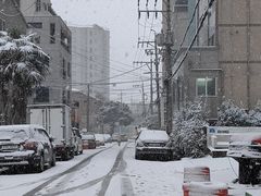 -真情鲍鱼海鲜汤