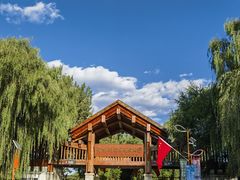 -野鸭湖国家湿地公园