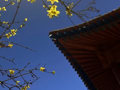-东关清真大寺