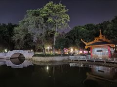 -金砂公园