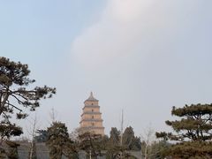 -大雁塔北广场音乐喷泉