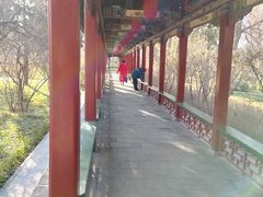 -迎泽公园
