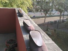 -上海白云观