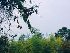 -紫金山天文台