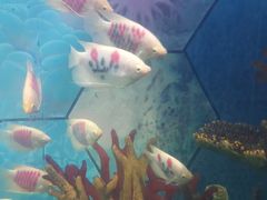 -福州罗源湾海洋世界旅游区