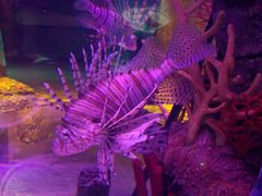 -沈阳海洋探索中心