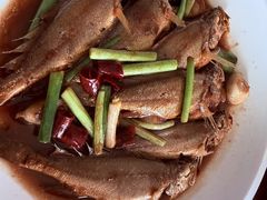 -魚當家