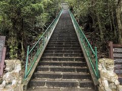 -云南屏边大围山国家公园