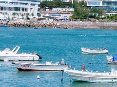-小麦岛公园