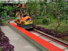 -南宫五洲植物乐园