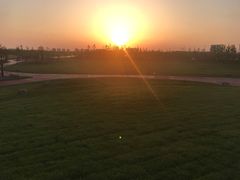 -春花秋色城市公园