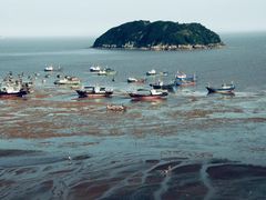 -北岐滩涂