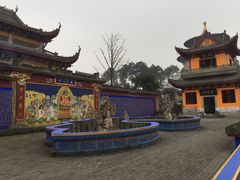 -铁山坪森林公园