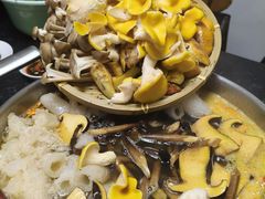 -菌极鲜野生菌火锅店(阳明祠店)