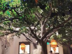 景观位-绿茶餐厅(乐峰广场店)