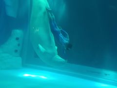 -上海海昌海洋公园-冰山北极馆