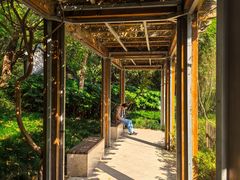 -徐家汇源景区-衡山公园