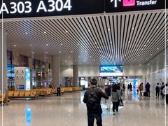 -广州白云国际机场-T2航站楼