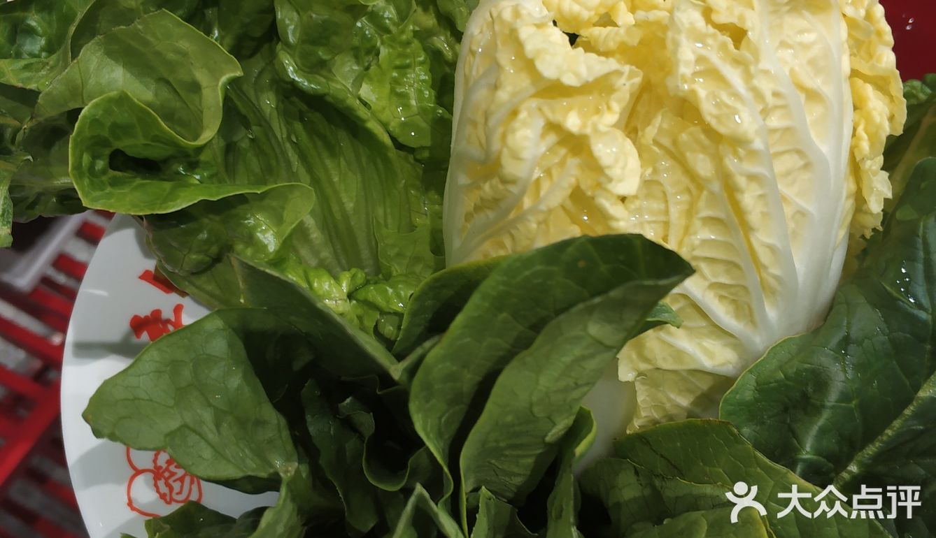 如图 豆芽是刚刚叫服务员换新的