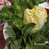 如图 豆芽是刚刚叫服务员换新的