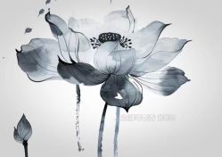 -雕哥的纹身店A3 TATTOO&纹身培训
