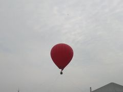 -秀丽东方