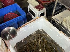 -铜元老码头鳝鱼火锅
