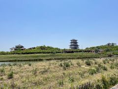 -卤阳湖国家湿地公园