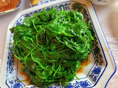 酒香草头-洞天食府(北大街店)