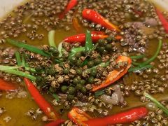 -杨氏青龙虾·羊蝎子(托乐嘉店)