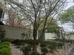 -66梧桐院·天平邻里汇(乌鲁木齐南路店)