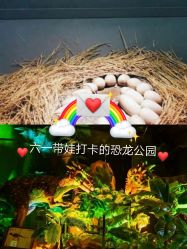 -恐龙探索乐园(磁器口店)