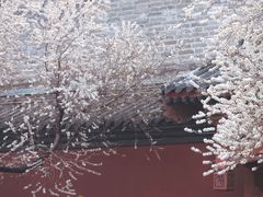 -雍和宫(地铁站)