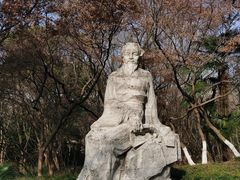 -南京古林公园