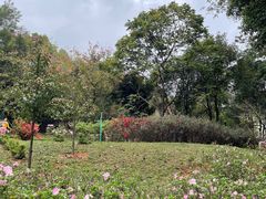 -东莞植物园