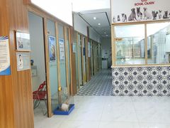 -可蒙动物医院·猫科·骨科中心(首义路店)