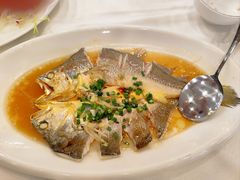 -渔意楼·驰名沙田乳鸽(五羊店)