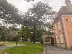 -叶叶菩提·晋福宫