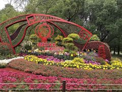 -上海共青森林公园