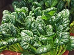 -小杨烤肉(高新店)