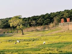 -沈阳森林动物园